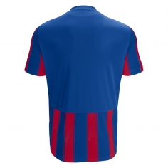 Macron Sportswear Nogometni Dresi / Hlačke Sceptrum ROYRED | Nogometni dres | Macron Sportswear 2