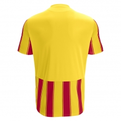 Macron Sportswear Nogometni Dresi / Hlačke Sceptrum YELRED | Nogometni dres | Macron Sportswear 2